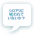 シロアリに 喰われて いないか？ 